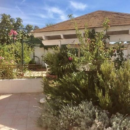 Superbe Appartement En Residence Avec Patio ヴィルヌーヴ・レ・マグローヌ エクステリア 写真