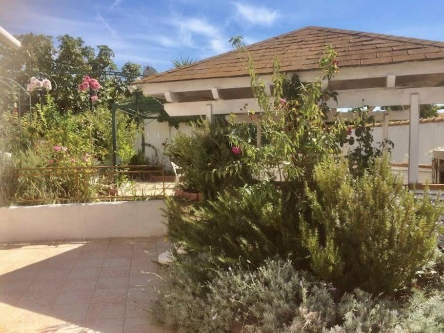 Superbe Appartement En Residence Avec Patio ヴィルヌーヴ・レ・マグローヌ エクステリア 写真